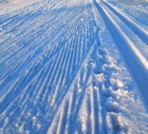 Liikunta | Seinäjoen Kaupunki