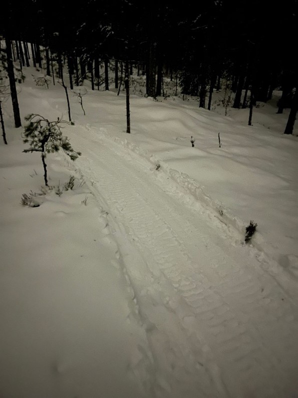 Lumisessa metsässä kulkeva moottorikelkan ura